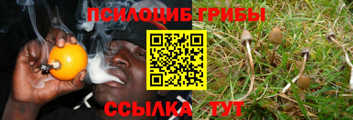 Псилоцибиновые грибы MAGIC MUSHROOMS Сарапул